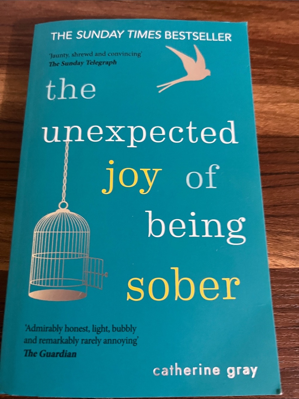 The Unexpected Joy of Being Sober — Teal Paperback